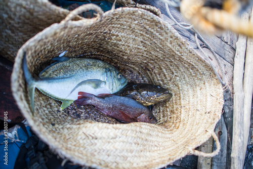 Fresh fish catch in basket © EIVIND