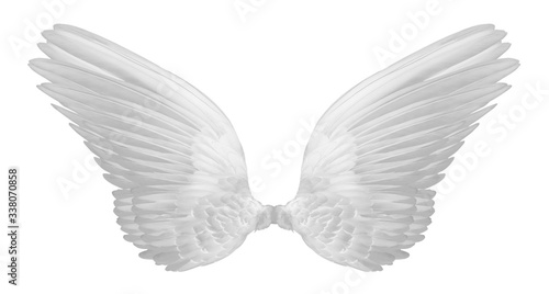white wings on white background.