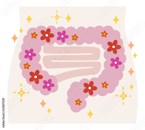 腸内フローラ　健康な腸