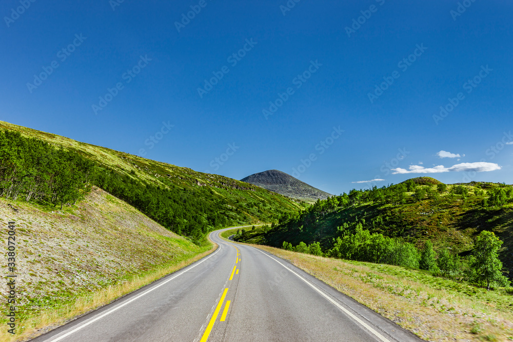 Fototapeta premium Landstraße durch Skandinavische Landschaft im sommer