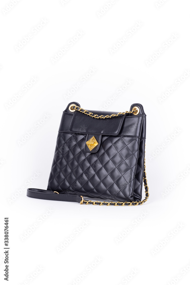 leather elegant women bag. Fashionable female handbag, isolated