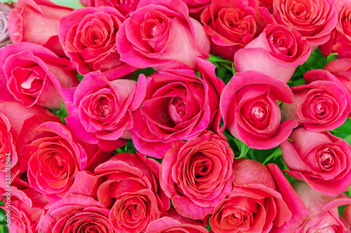 Bouquet of the beautiful beautiful red roses. Background. Closeup