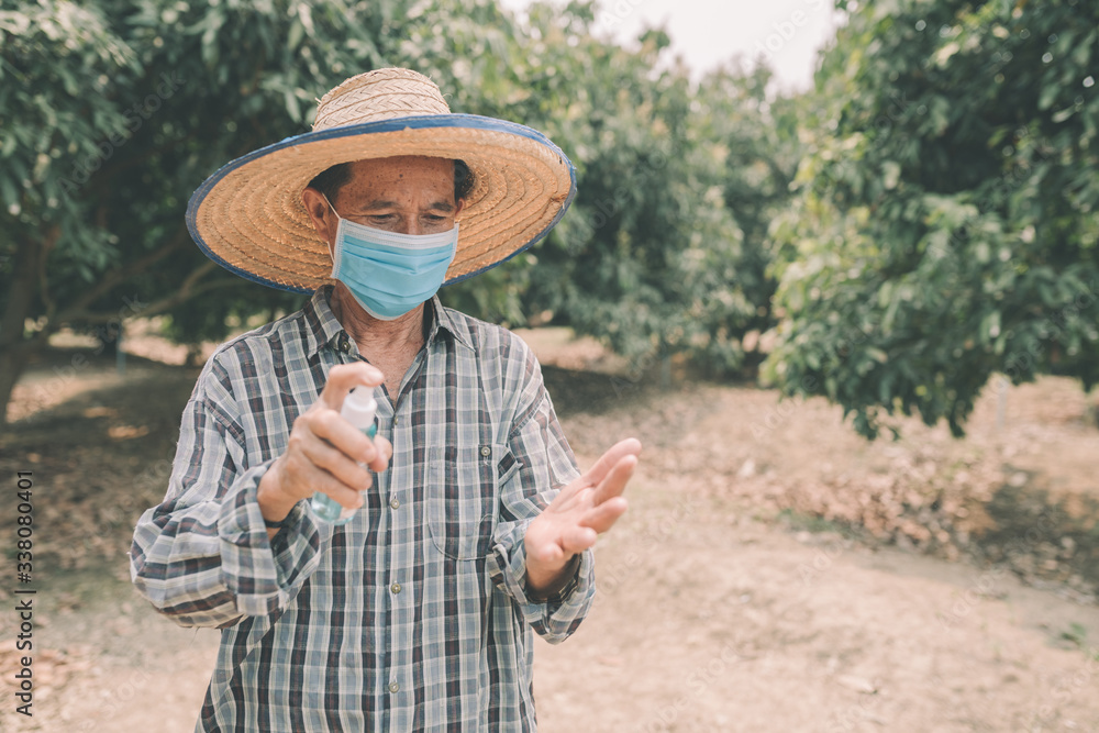 Fototapeta premium Asian farmer man wears a mask and is washing their hands with alcohol gel to prevent the coronary virus outbreak (COVIT-19) and bacteria. Corona Virus Concept