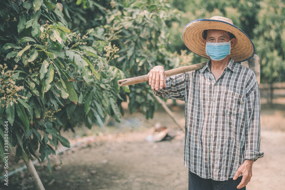 Asian farmers wear masks to prevent outbreaks of corona virus (COVID-19) and air pollution Pm2.5 on the farm - obrazy, fototapety, plakaty 