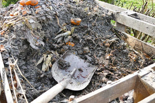 Canvas Print Compost with common earth worms on shovel - humus produced by decomposition of leaves and other plant materials by microorganisms common earth worms (Lumbricus terrestris)