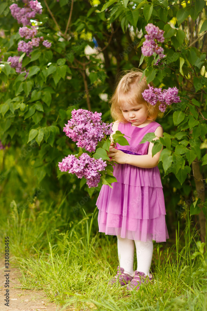 little girl in purple dress near bush of lilac little girl in purple dress near bush of lilac