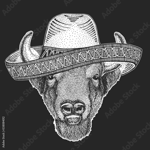 Buffalo, bison, bull head. Sombrero is traditional mexican hat. Mexico. Portait of animal.