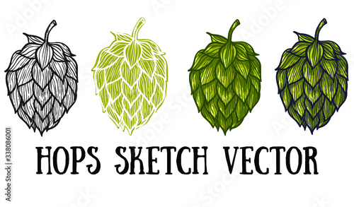 Hops vector visual graphic icons or logos, ideal for beer, stout, lager, bitter labels & packaging.