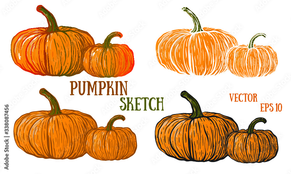 Doodle pumpkins.Vector paint hand drawn picture in cartoon style. Stock illustration.v Doodle pumpkins.Vector paint hand drawn picture in cartoon style. Stock illustration.v