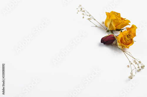 Dried roses with decorative details isolated on white background. Quote and greeting card background. Copy space.
