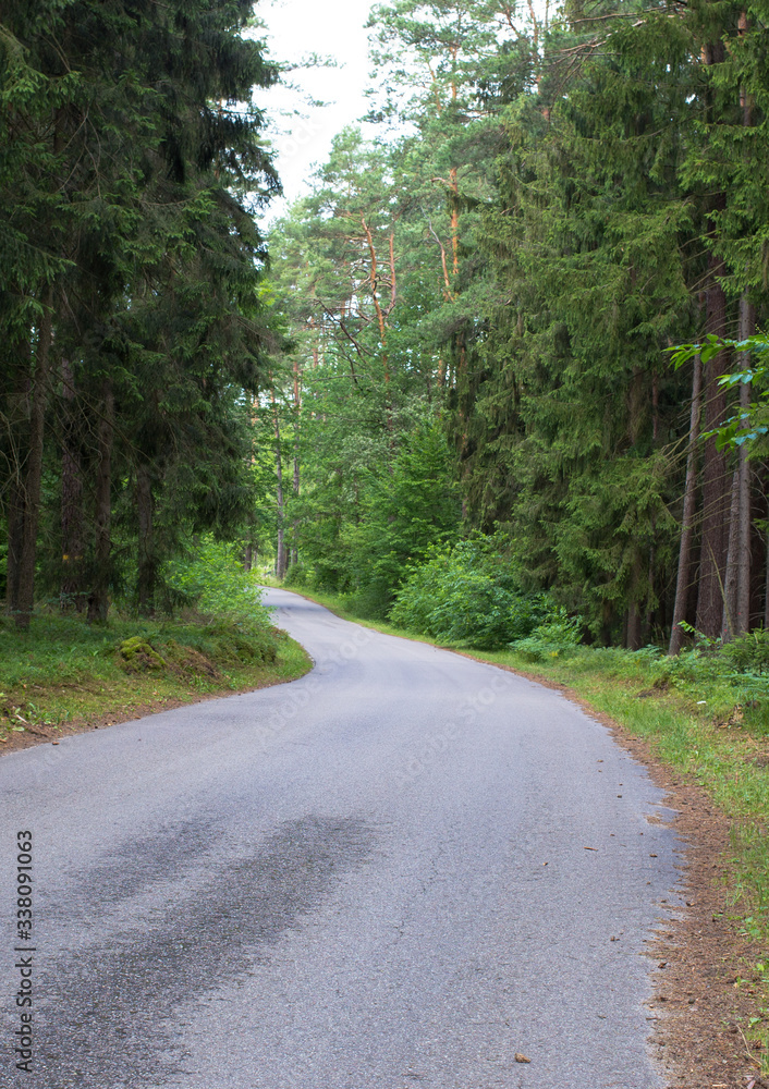 Droga w lesie przez las, Polska.