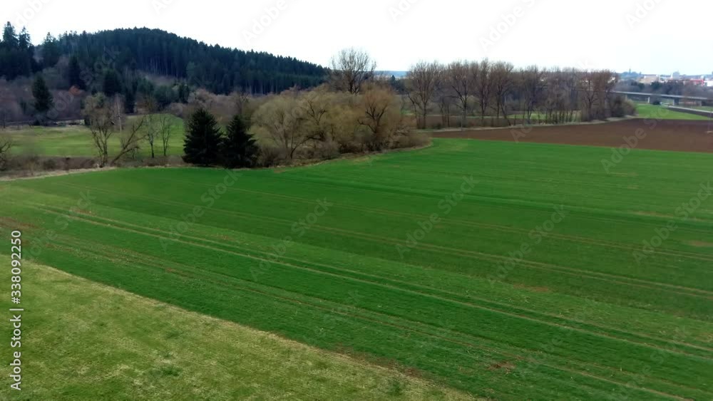 green field with mountain trees in the background, aerial view from a drone green field with mountain trees in the background, aerial view from a drone