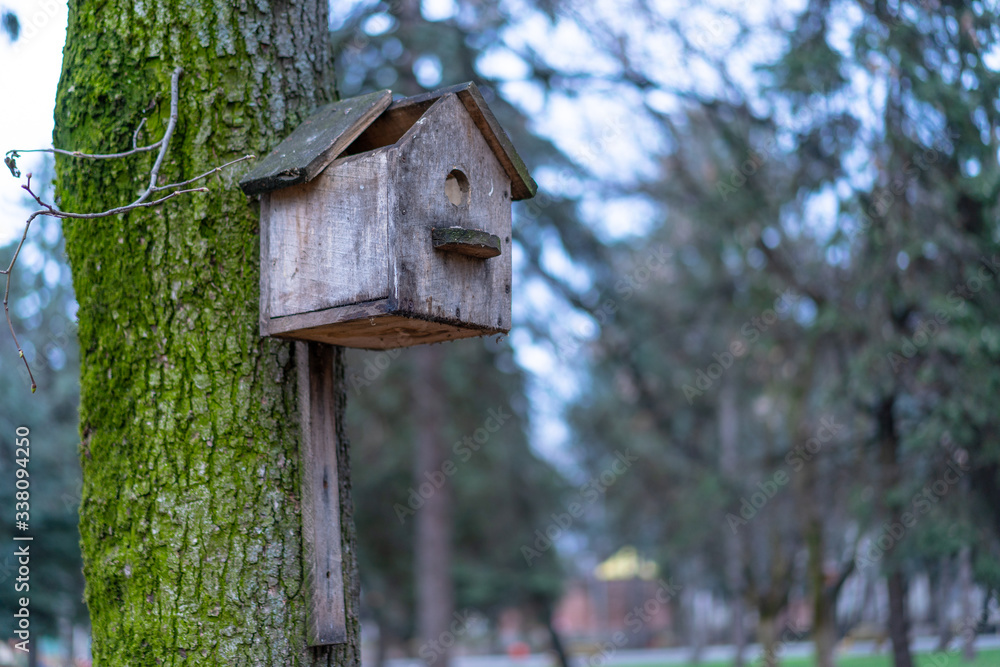 Broken birdhouse mounted on a tree