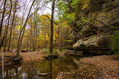 Autumn/fall colors in Illinois canyon. Starved Rock state park, Illinois, USA