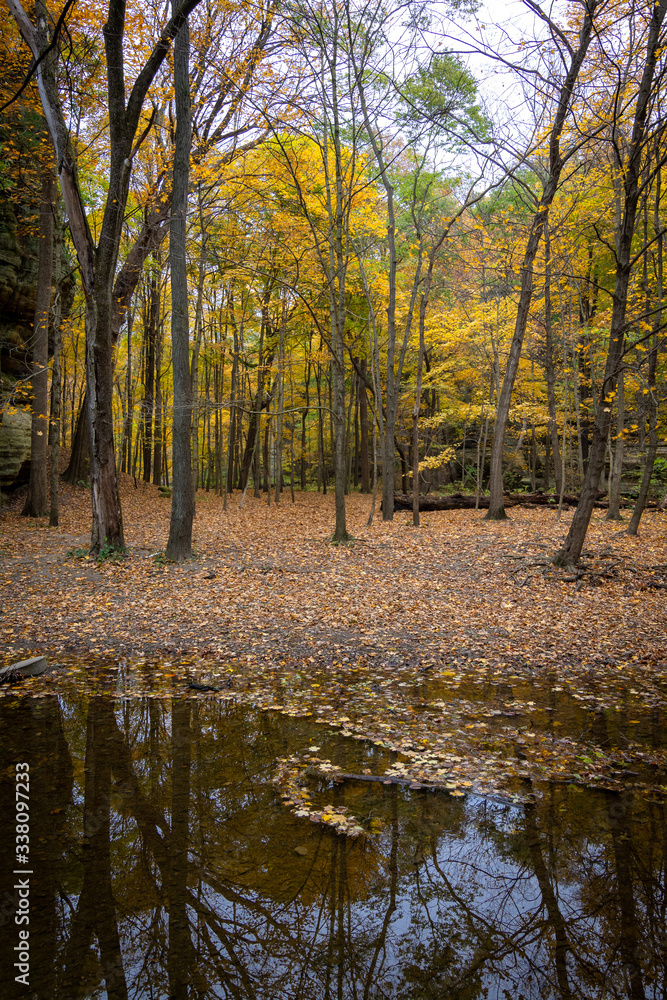 Autumn/fall colors in Illinois canyon.  Starved Rock state park, Illinois, USA - obrazy, fototapety, plakaty 