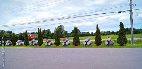 Εκτύπωση καμβά Wooden wine barrels along a road in Canada's Wine Valley