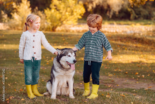 Happy little children having fun with dog pet on field. Child 5 years old. Carefree childhood. Kids spending time together with a dog in field.