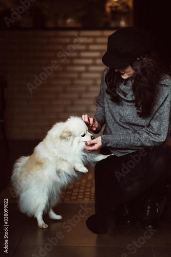 Girl with a dog on a brick wall background photo