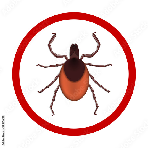Mite parasites. vector illustration isolated on white background. Mite spider. Mite allergy. Mite epidemic.