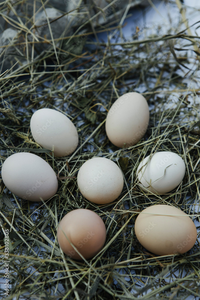 Natural eggs on the farm