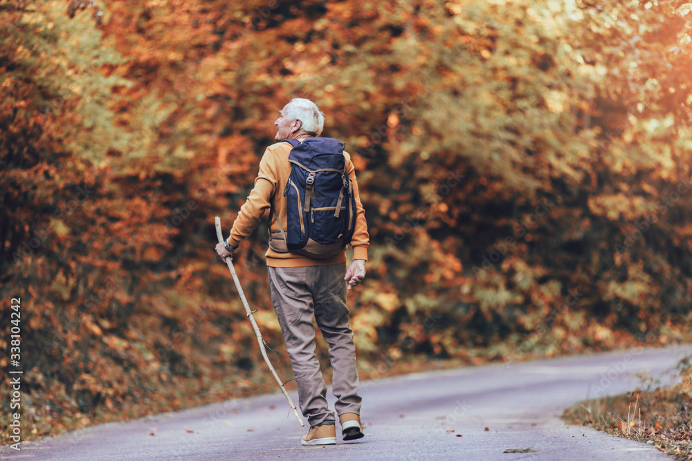 Fototapeta premium Senior male hiker walking with backpack in the wood