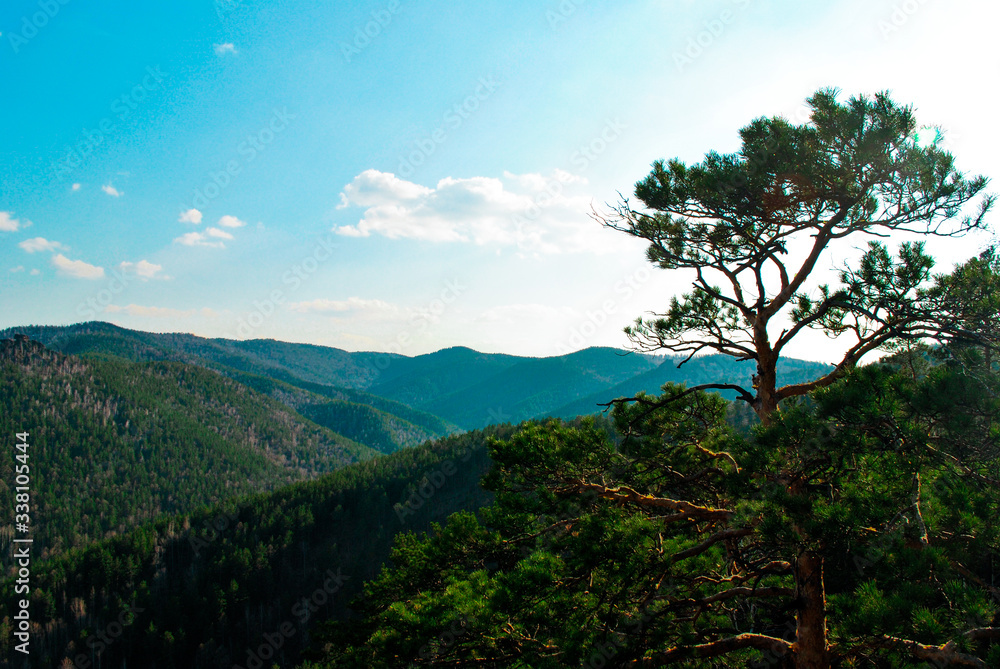 forest, rocky mountains and blue sky