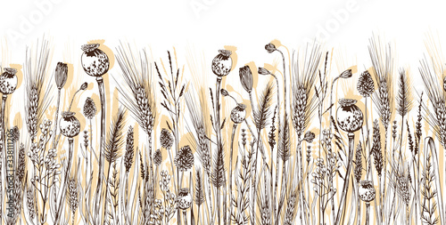 Seamless horizontal background with wheat spikelets, poppy seed boxes and wild herbs.