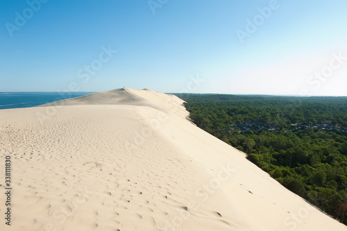 Fototapeta Naklejka Na Ścianę i Meble -  Huge sand dunes between the ocean and the forest. West coast of France.
