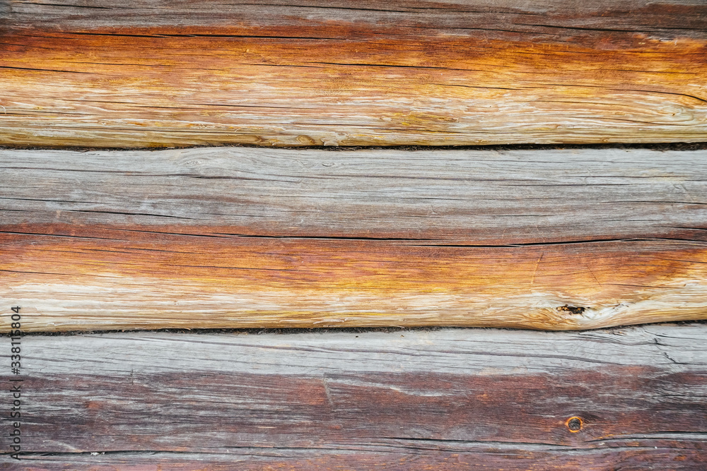 Beautiful wood texture. The natural texture. Organic texture. Natural background
Beautiful wood texture. The natural texture. Organic texture. Natural background