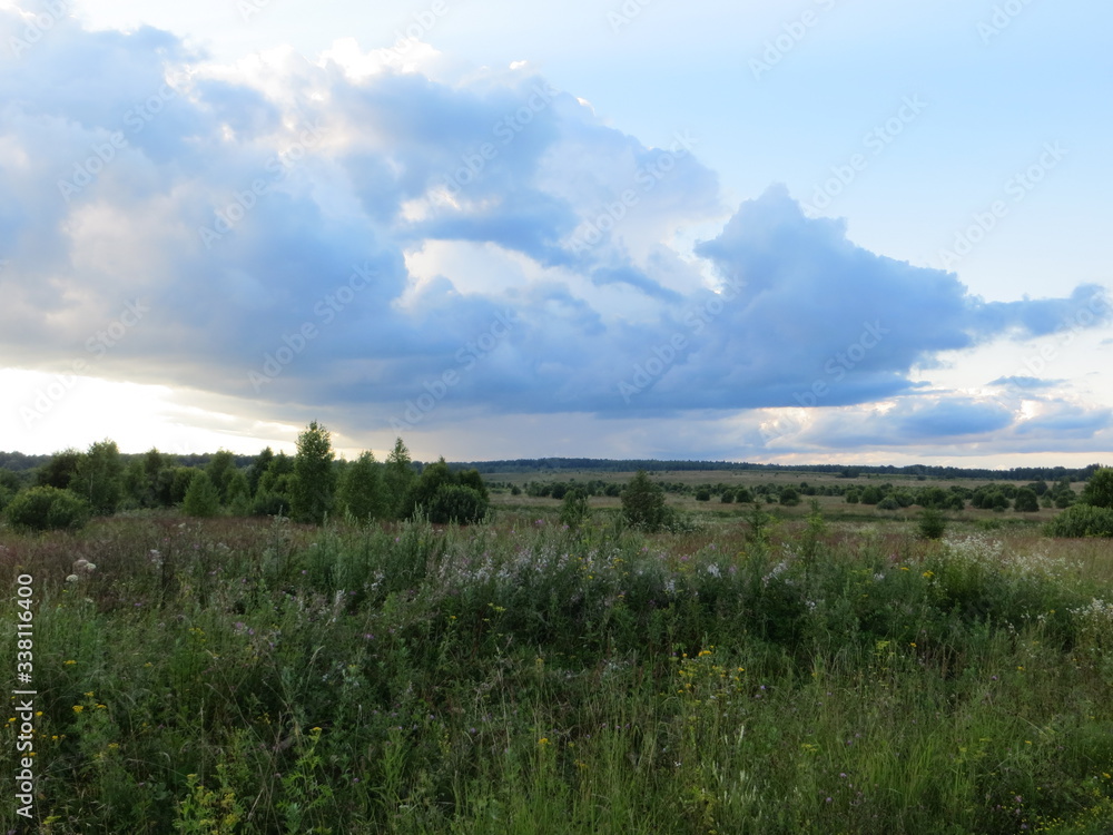 Obraz premium Landscape with a field and a big cloud