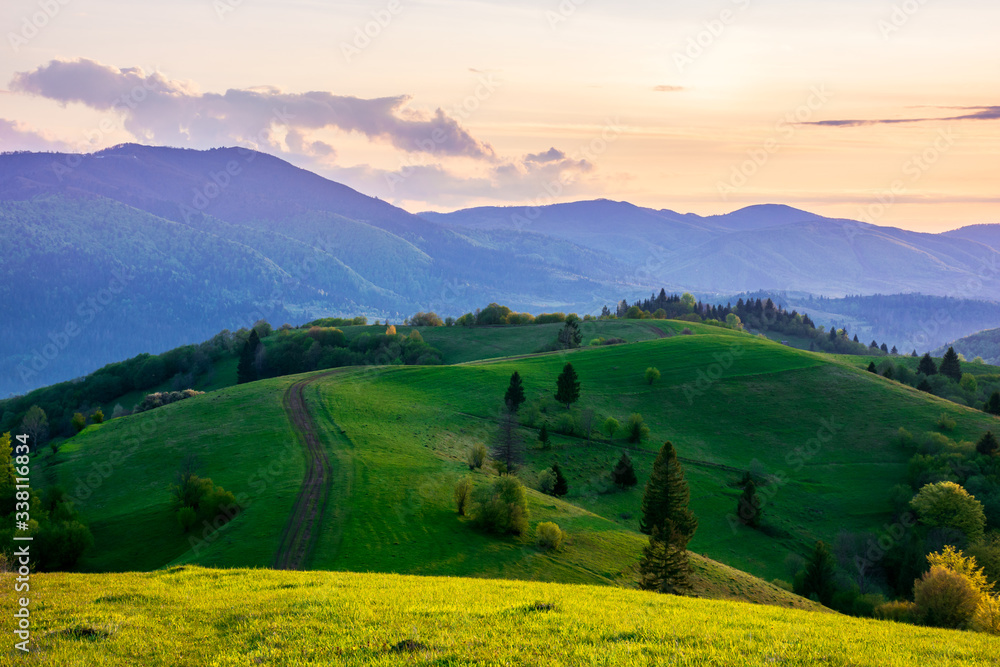mountainous countryside in springtime at dusk. dirt road and trees on the rolling hills. ridge in the distance. clouds on the sky. beautiful rural landscape of carpathians