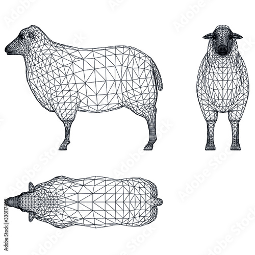 Sheep polygonal lines illustration. Abstract vector sheep on the white background