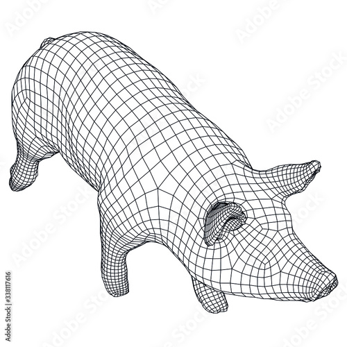 Pig polygonal lines illustration. Abstract vector pig on the white background