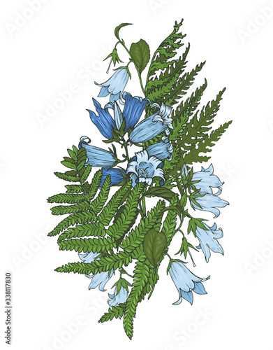 composition of bell flowers with fern leaves, vector illustration