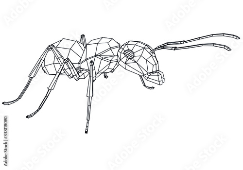 Vector illustration of a geometric polygonal ant. Abstract linear insect.