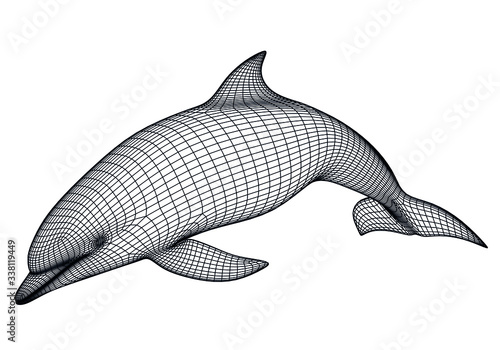 Dolphin polygonal lines illustration. Abstract vector dolphin on the white background