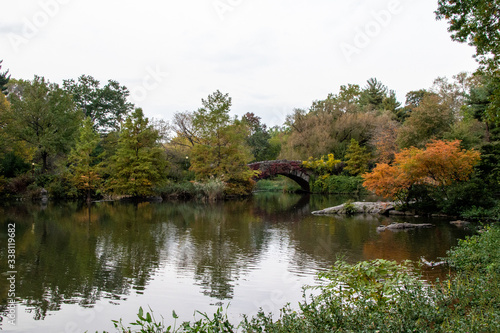 Bridge over the lake