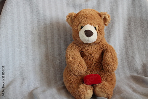Teddy bear with gift ring
