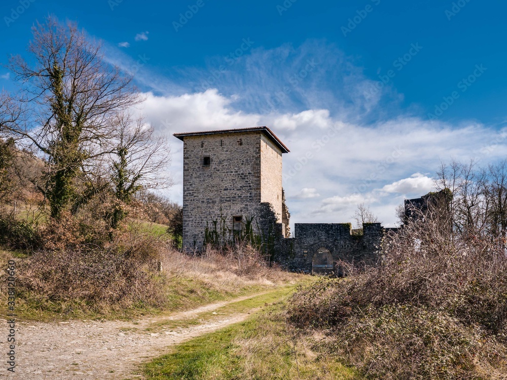 Gate and tower of the Guevara Palace. Guevara/Gebara, Alava, Basque Country, Spain