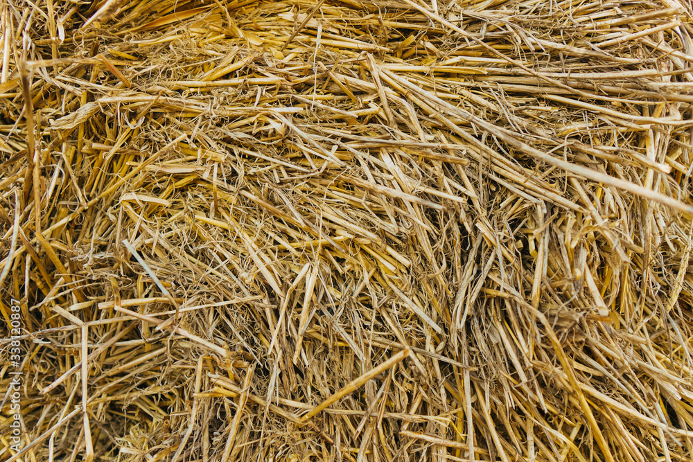 Beautiful texture of the straw. The natural texture. Organic texture. Natural background Beautiful texture of the straw. The natural texture. Organic texture. Natural background