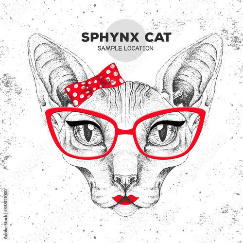 Retro Hipster animal sphynx cat. Hand drawing Muzzle of animal cat. Girl of 60s