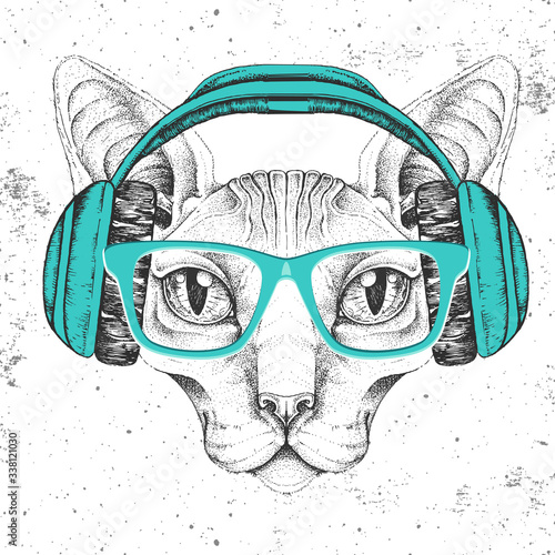 Hipster animal sphynx cat with headphones. Hand drawing Muzzle of animal cat