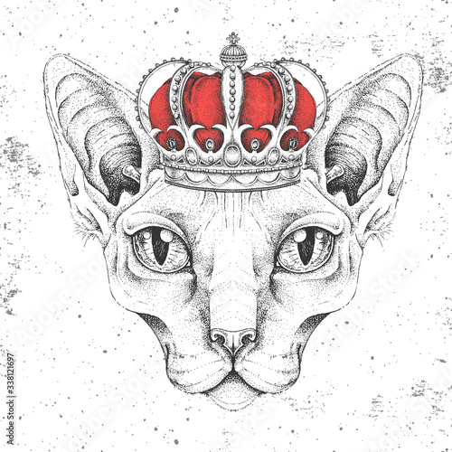 Hipster animal sphynx cat in crown. Hand drawing Muzzle of cat