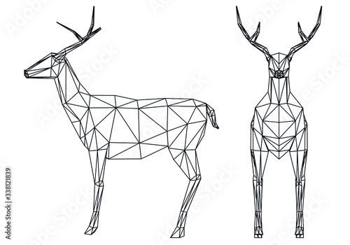 Deer polygonal lines illustration. Abstract vector deer on the white background © kurtcan