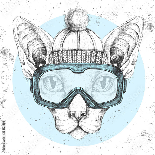 Hipster animal sphynx cat in winter hat and snowboard goggles. Hand drawing Muzzle of cat