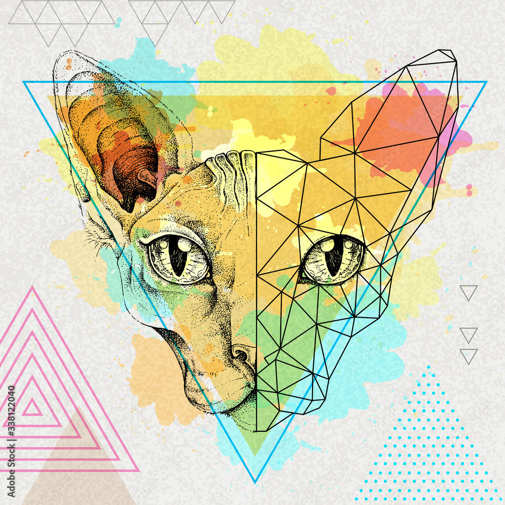 Obraz Hipster animal realistic and polygonal sphynx cat face on watercolor background.