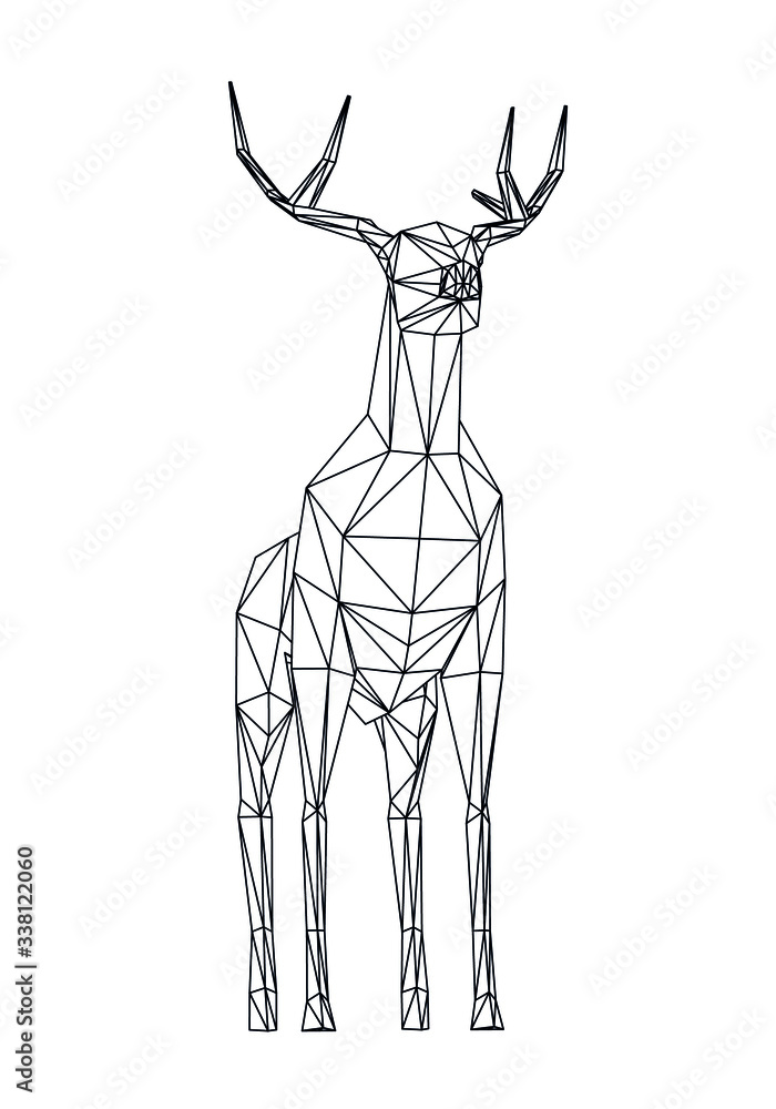 Fototapeta Deer polygonal lines illustration. Abstract vector deer on the white background