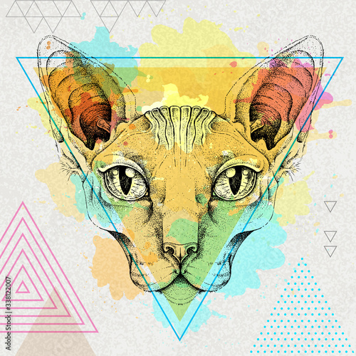 Hipster realistic animal sphynx cat on artistic polygon watercolor background