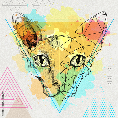 Hipster animal realistic and polygonal sphynx cat face on watercolor background.