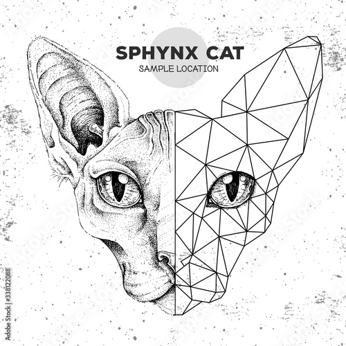 Hipster animal realistic and polygonal sphynx cat face on grunge background.